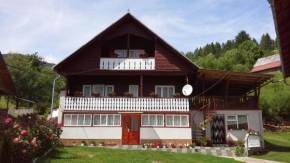  Pensiunea Daiana  Албак